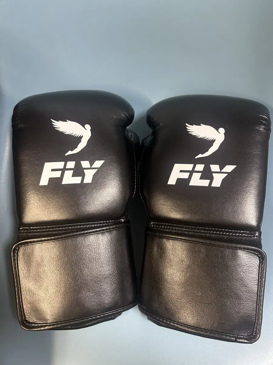 Fly 16oz boxing gloves