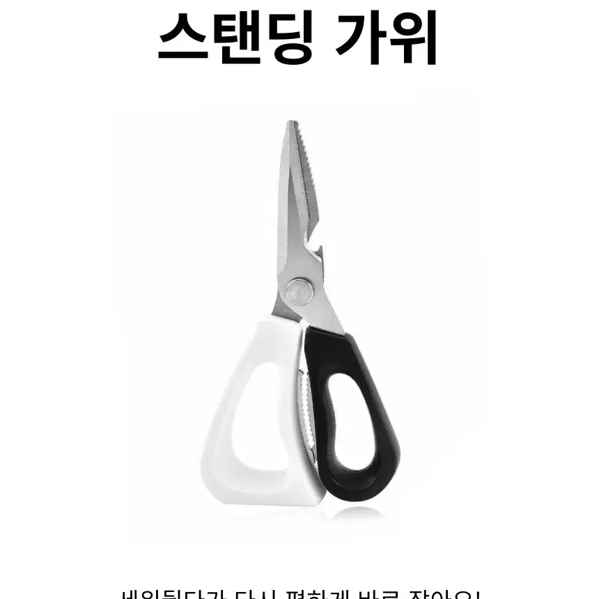 카이포 공룡가위 잘드는 주방가위 스탠딩