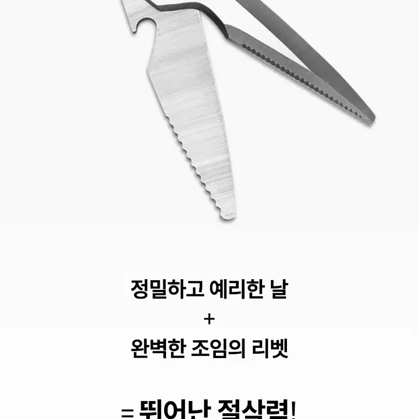 카이포 공룡가위 잘드는 주방가위 스탠딩