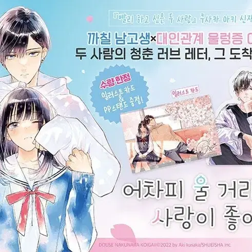 어차피 울 거라면 사랑이 좋아 초판 더특 포함