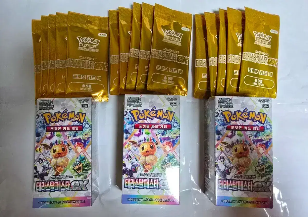 Pokémon Card Terraceal Festa Promo Card