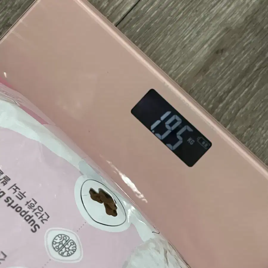 로얄캐닌키튼1.9kg