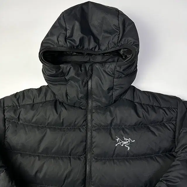 ARC'TERYX Thorium AR Hoody 아크테릭스 토륨 자켓