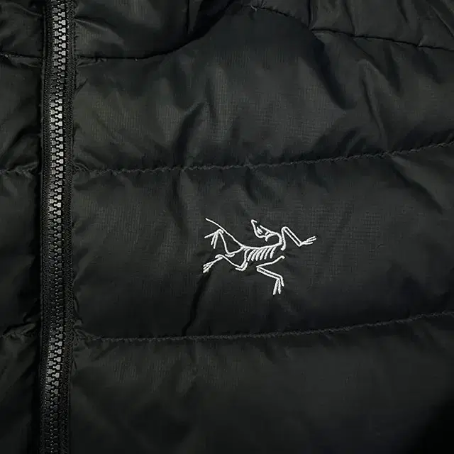 ARC'TERYX Thorium AR Hoody 아크테릭스 토륨 자켓