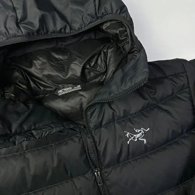 ARC'TERYX Thorium AR Hoody 아크테릭스 토륨 자켓