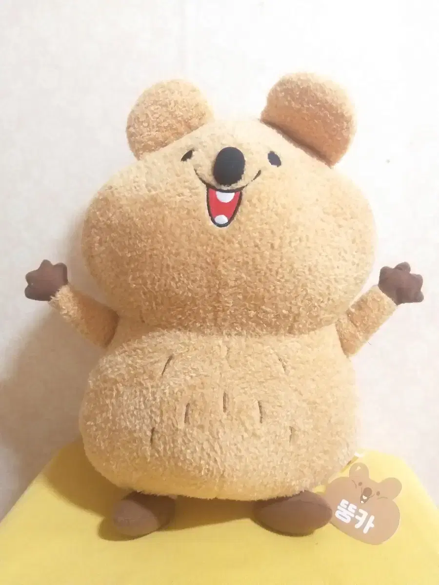 대형 뚱카 대형 인형(40cm)