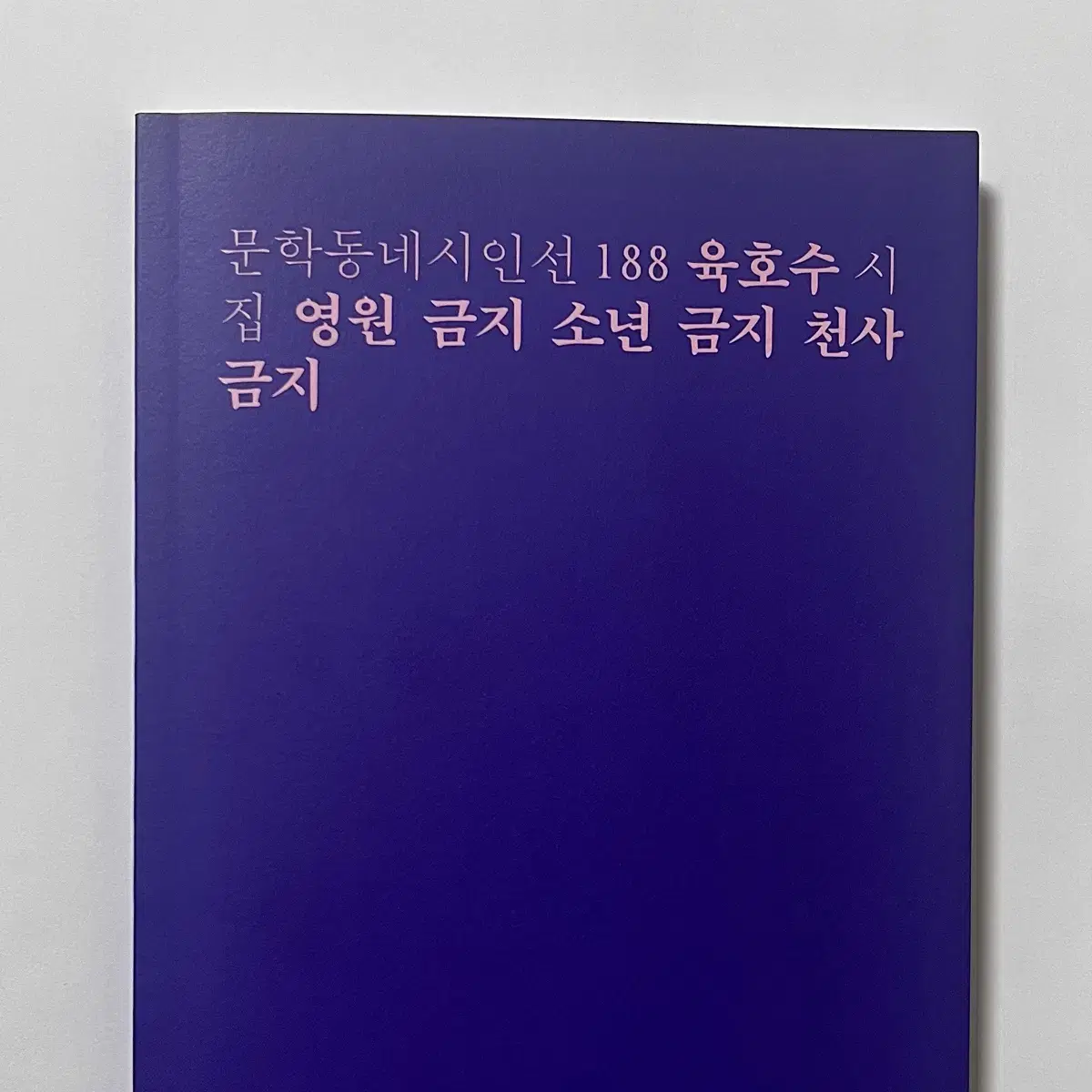 문학동네시인선 육호수 영원금지 소년금지 천사금지