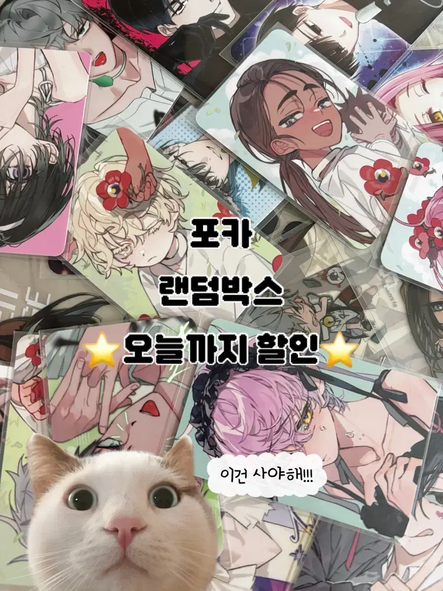 에이스테 에일리언 스테이지 포카 랜박 ( 오늘까지 할인!