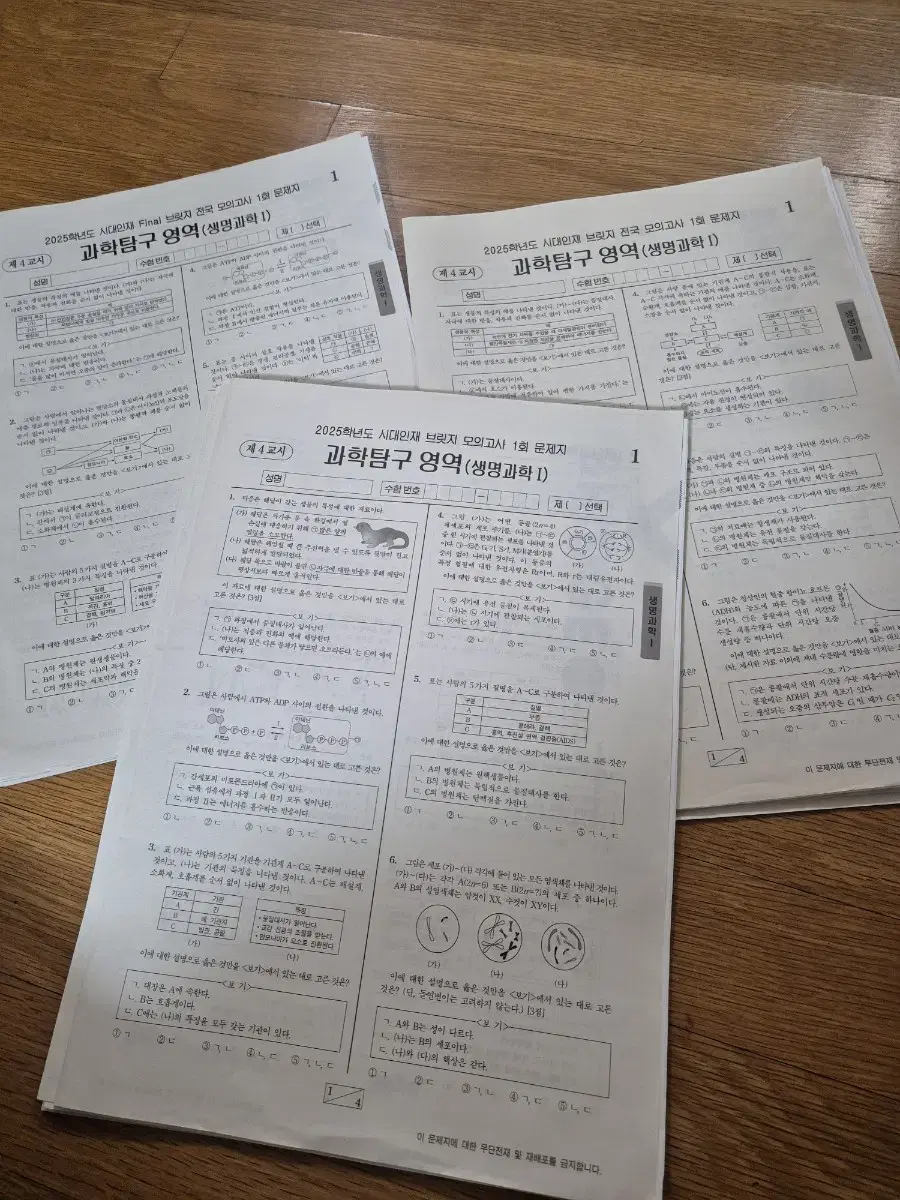 2025 시대인재 생명과학 브릿지, 전국브릿지, F브릿지