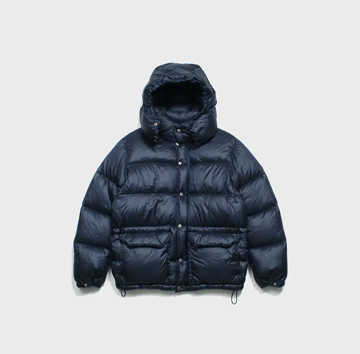 THE NORTH FACE PURPLE LABEL 패딩