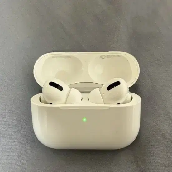 에어팟 프로(AirPods Pro)