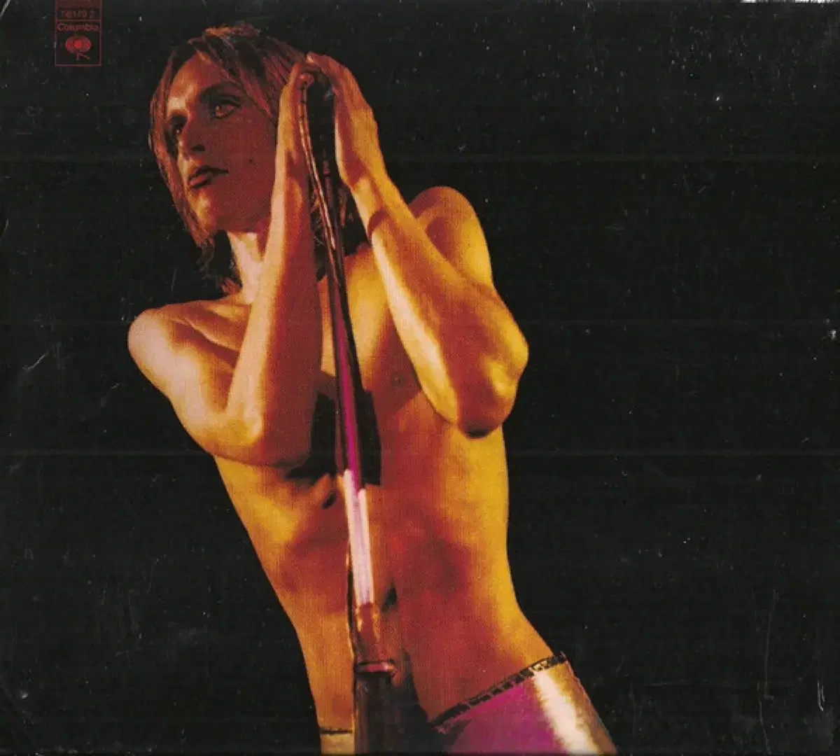 The Stooges Iggy Pop(이기팝) 포스터