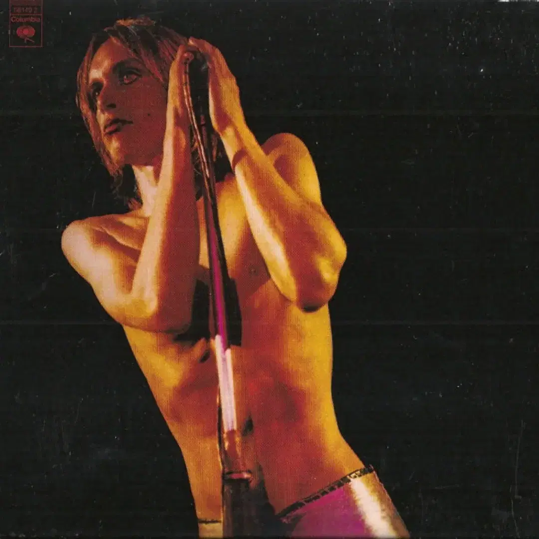 The Stooges Iggy Pop(이기팝) 포스터