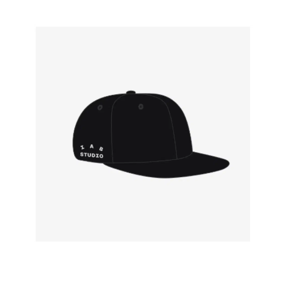 IAPP Studio Cap Black White Hat