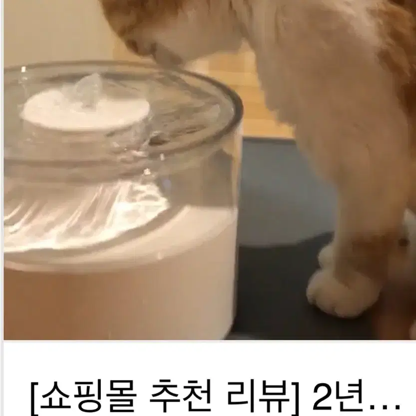 두잇 강아지 고양이 정수기 새상품 두개!!