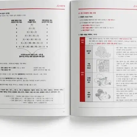 2025 시대인재 화학1 컨텐츠(FLOW, REVIVAL, ATG)