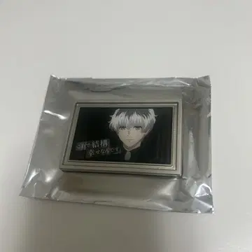 도쿄식종 :re 대명사 마그넷 사사키 하이세