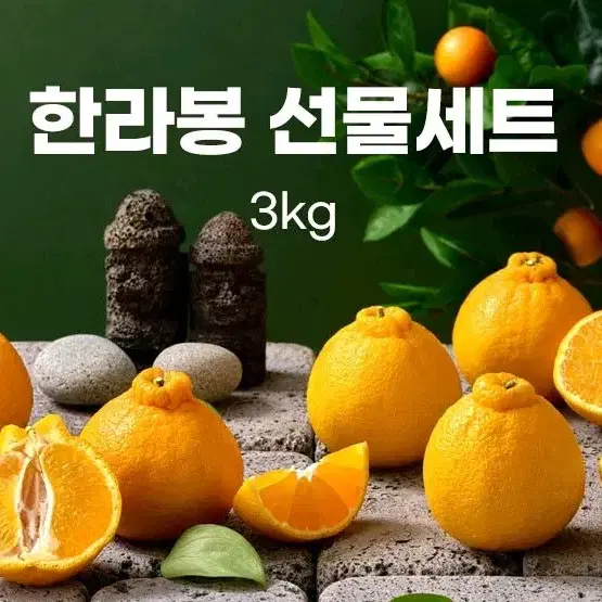 강력추천)한라봉 선물세트 3KG