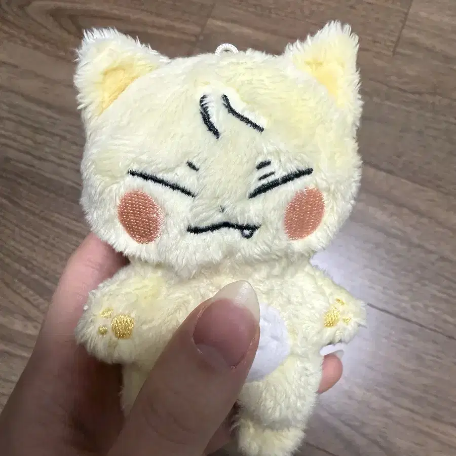 비투비 서은광 인형 광냥이