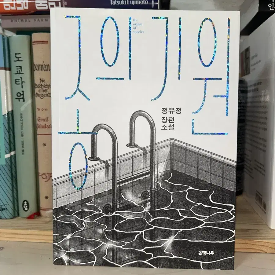 종의 기원 새 책