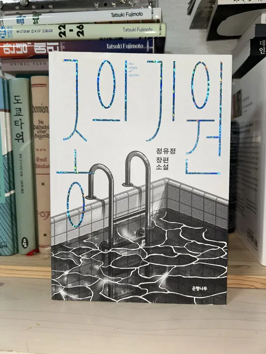 종의 기원 새 책