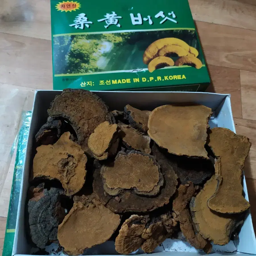 북한 상황버섯