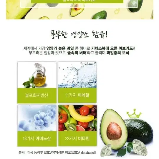 엑스트라버진 아보카도 오일 250ml 두병