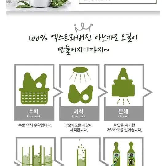 엑스트라버진 아보카도 오일 250ml 두병