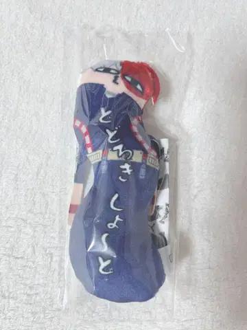 토도로키 쇼토 비뚤어진 녀석들 히로아카