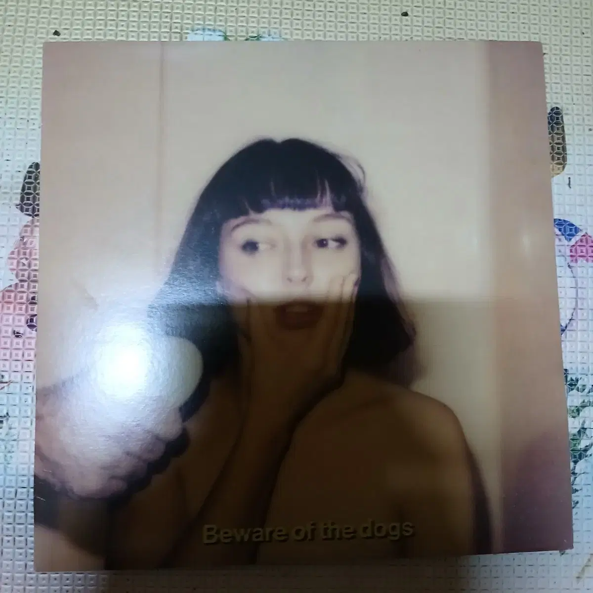 Lp중고 스텔라 도넬리 STELLA DONNELLY 음반 판매합니다.