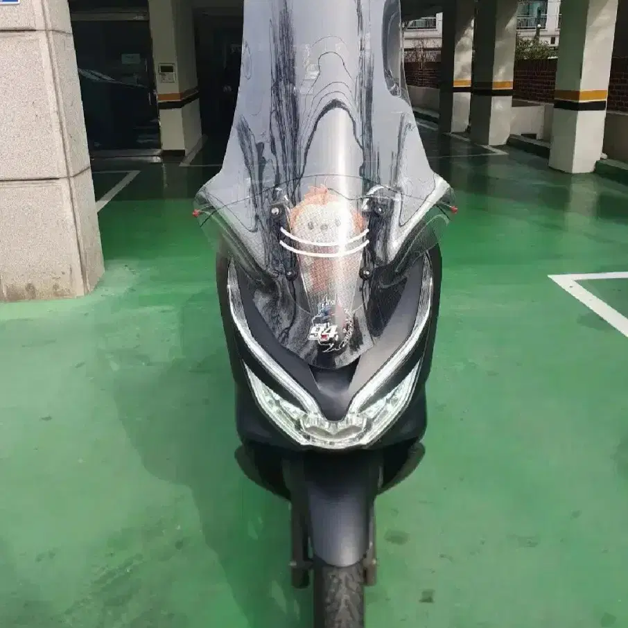 Pcx125 19년식 판매