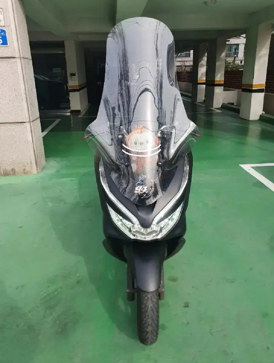 Pcx125 19년식 판매