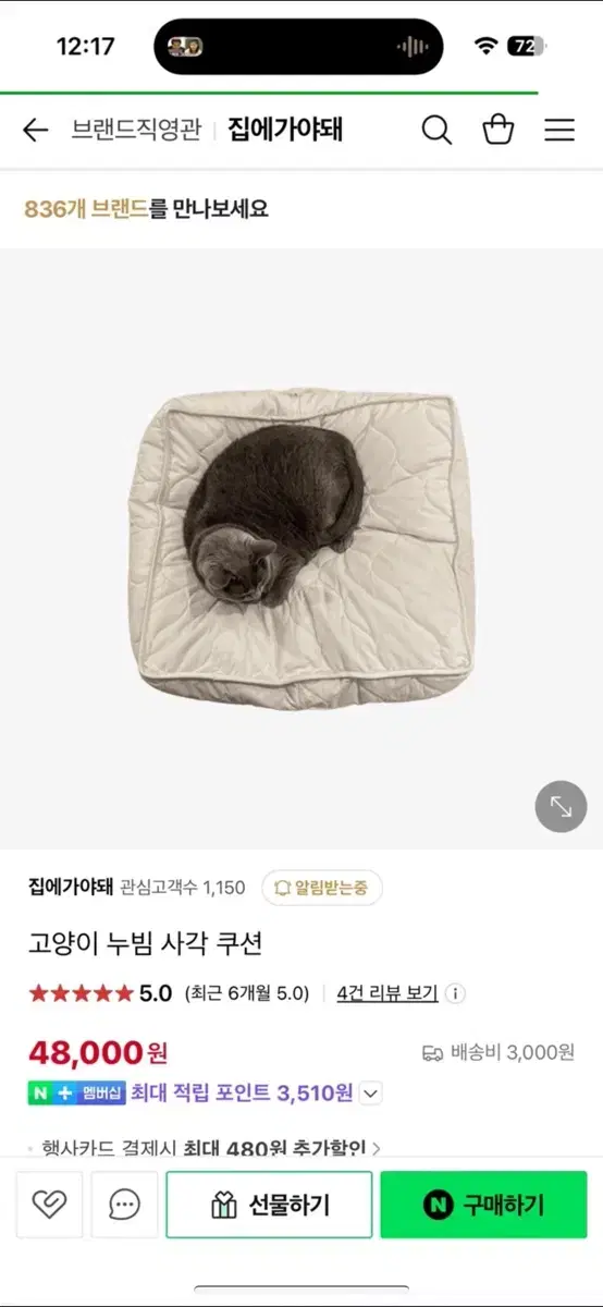 집에가야돼 고양이 누빔 사각 쿠션