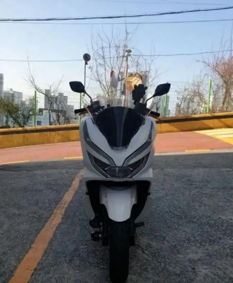 pcx125 19년식 판매