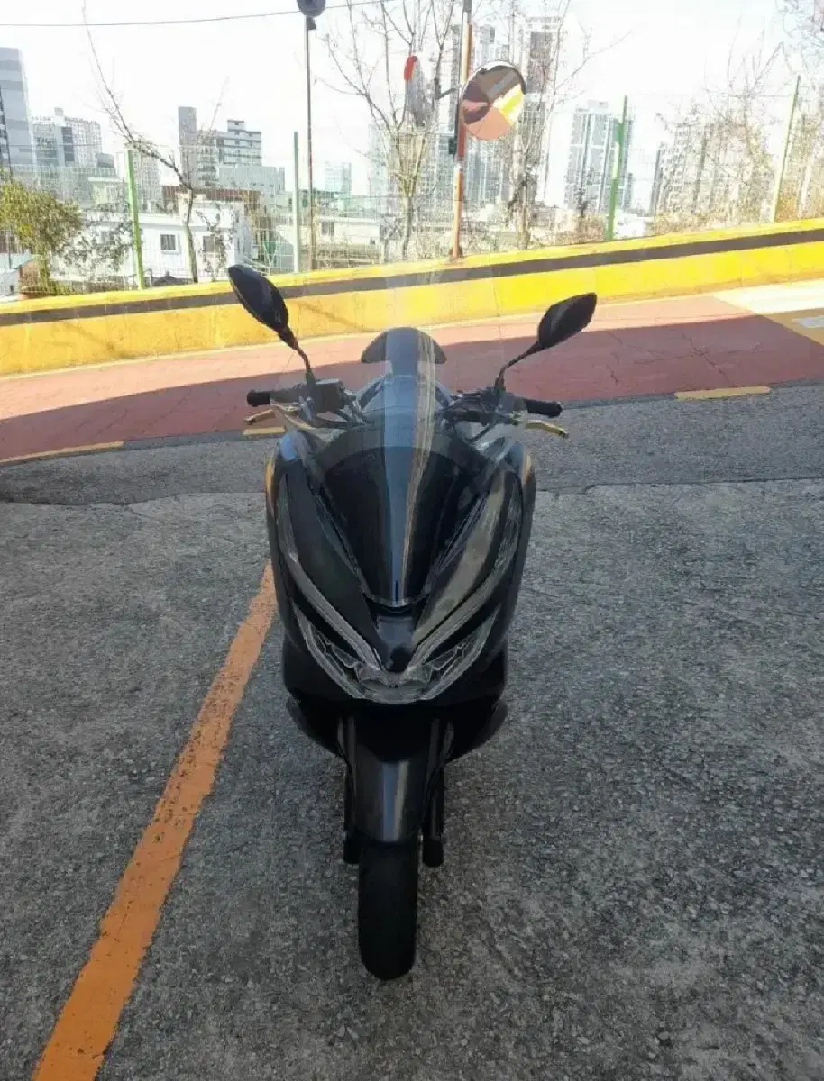 pcx125 19년식 판매