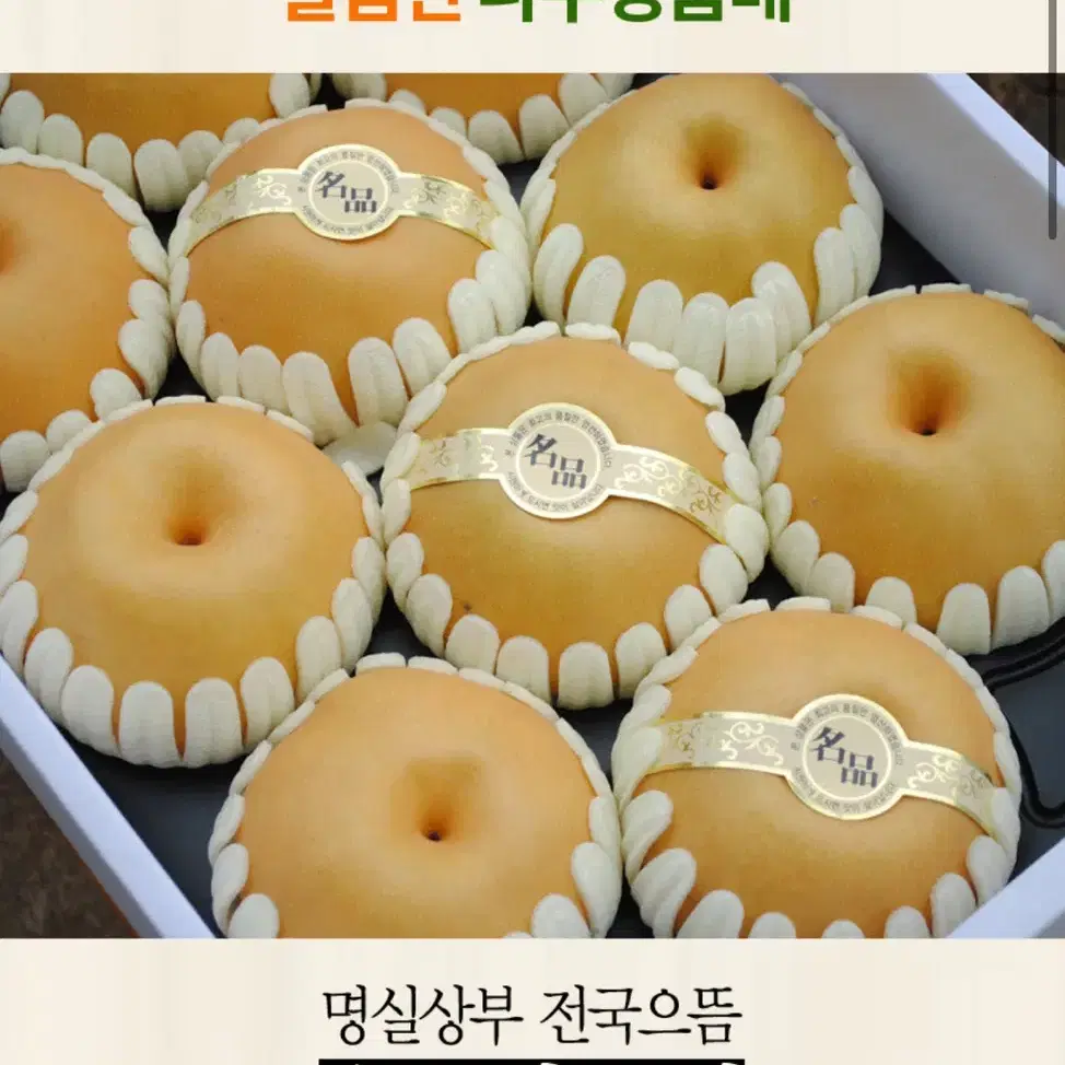 나주 명품배 선물세트 5kg 6-7과 (특대과)