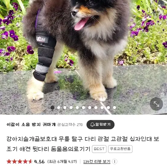 강아지 슬개골 보호대 오른쪽 소형