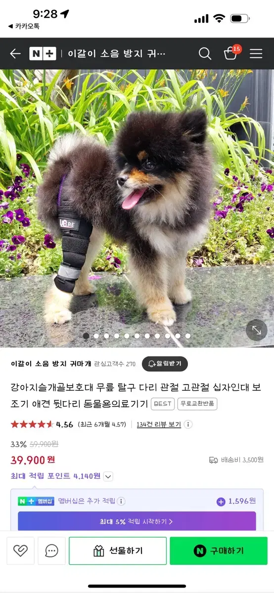 강아지 슬개골 보호대 오른쪽 소형