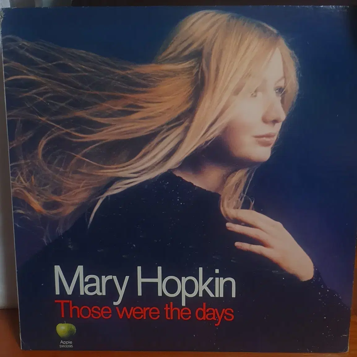 Mary Hopkin Lp(메리홉킨)