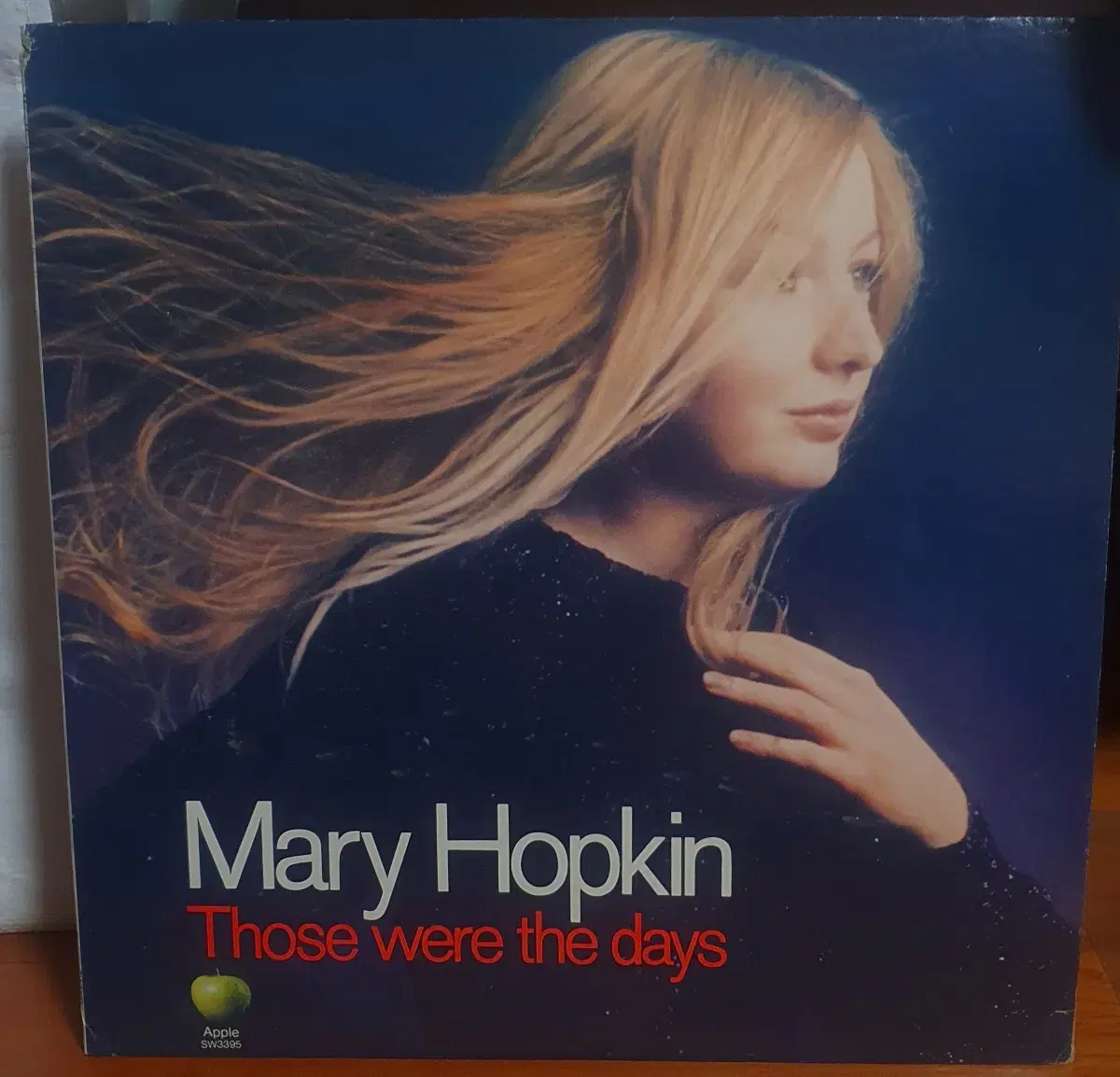 Mary Hopkin Lp(메리홉킨)