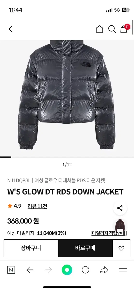 The North Face down jacket