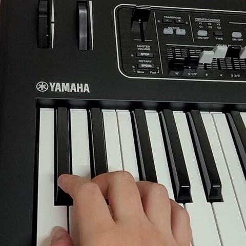 야마하 YAMAHA CK61 + 정품 케이스 SC-DE61