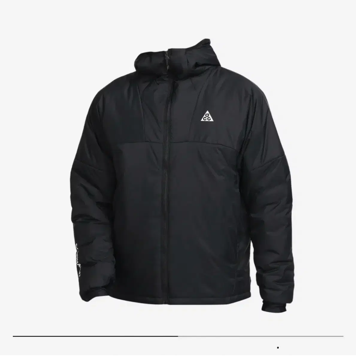 Nike ACG Therma-Fit Jacket [M]