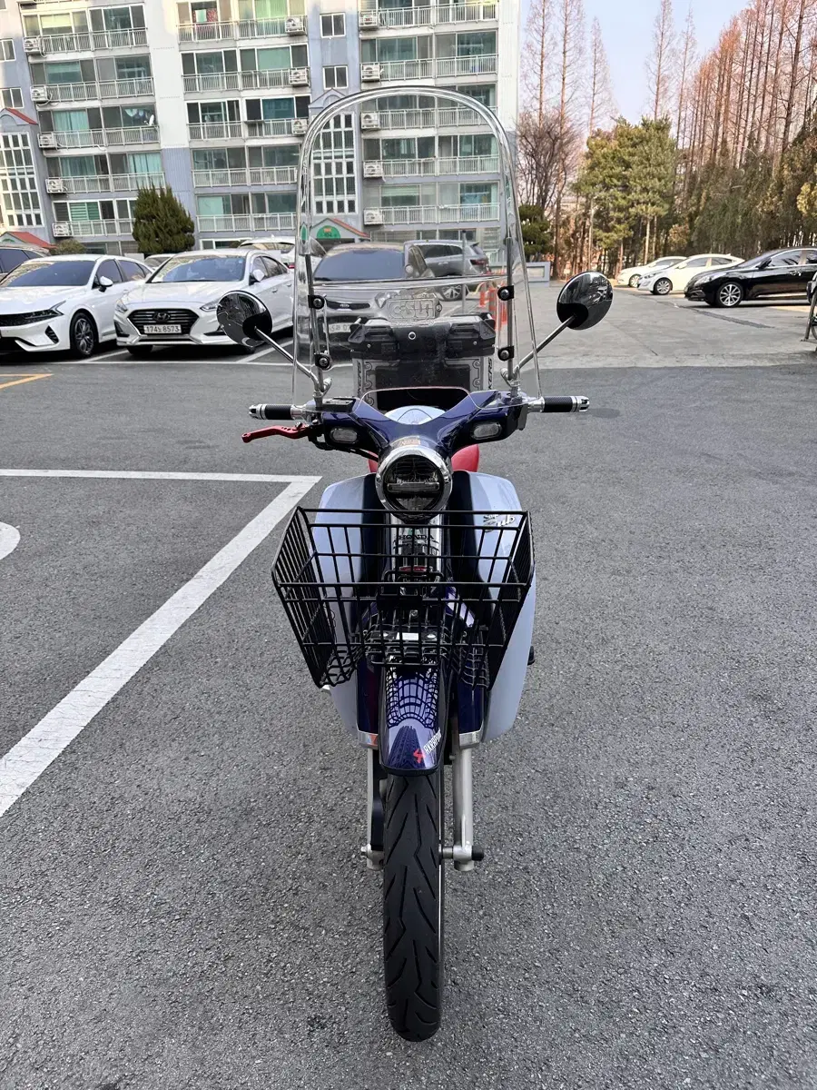 2019년식 슈퍼커브 c125