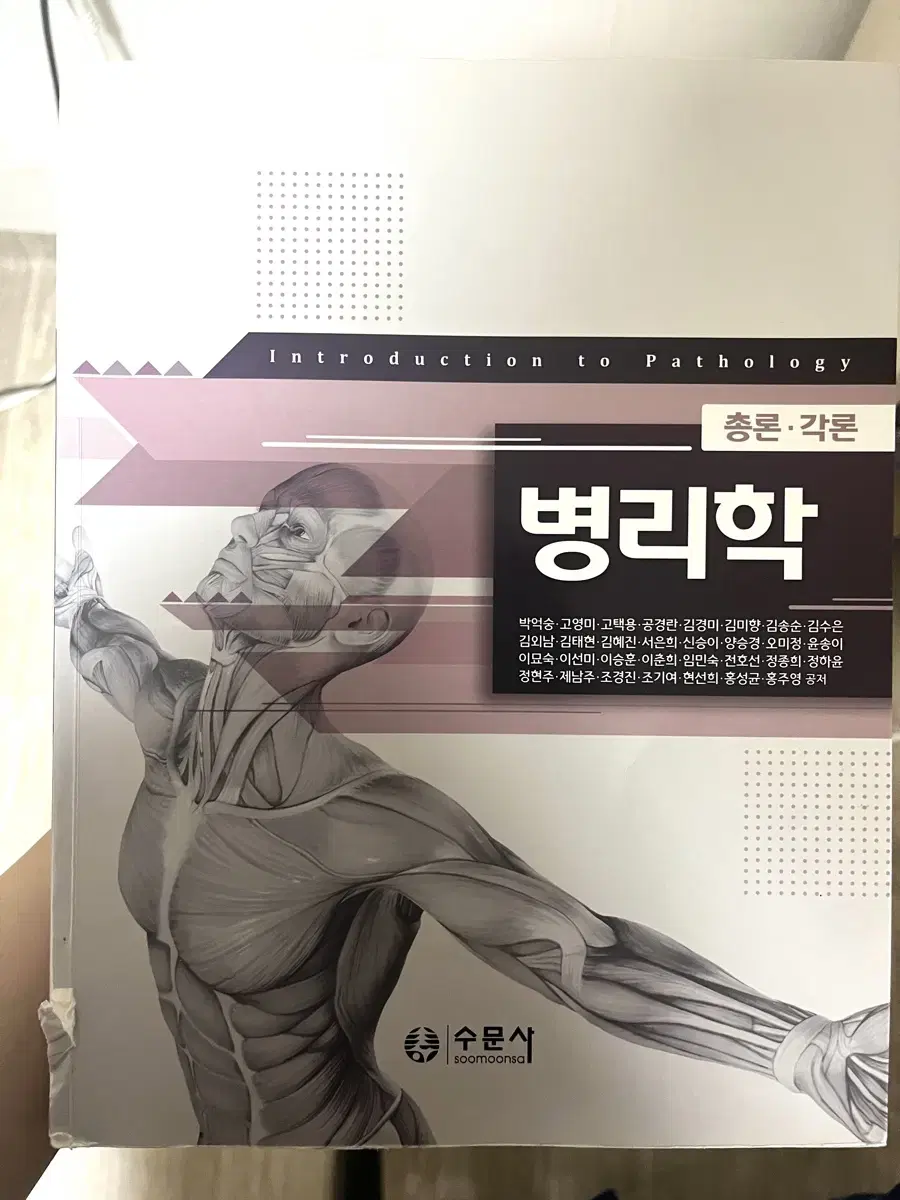 수문사 병리학 책