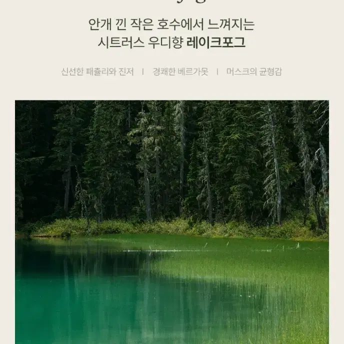 [새상품] 슬로우허밍 우디너리 바디워시 레이크포그 300ml