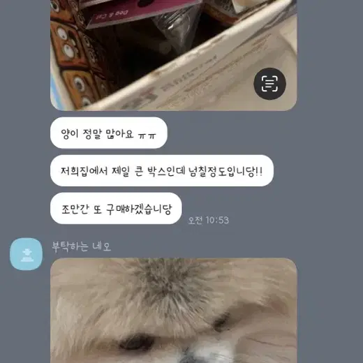 강아지 간식 랜덤 스쿱