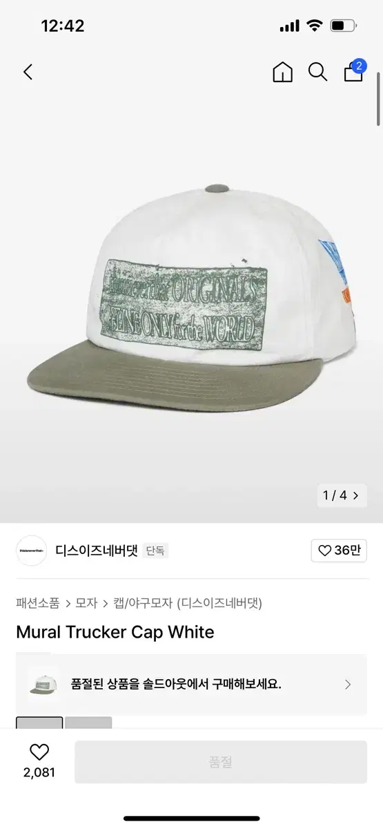 디스이즈네버댓 Mural Trucker Cap White