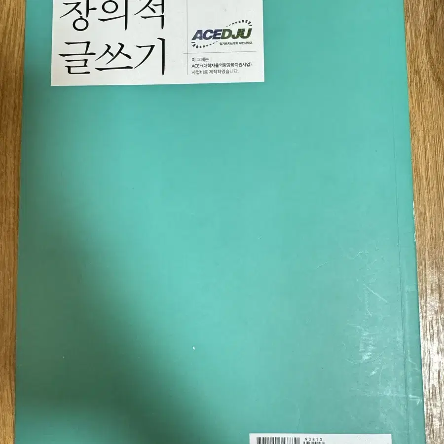 창의적 글쓰기 대전대학교