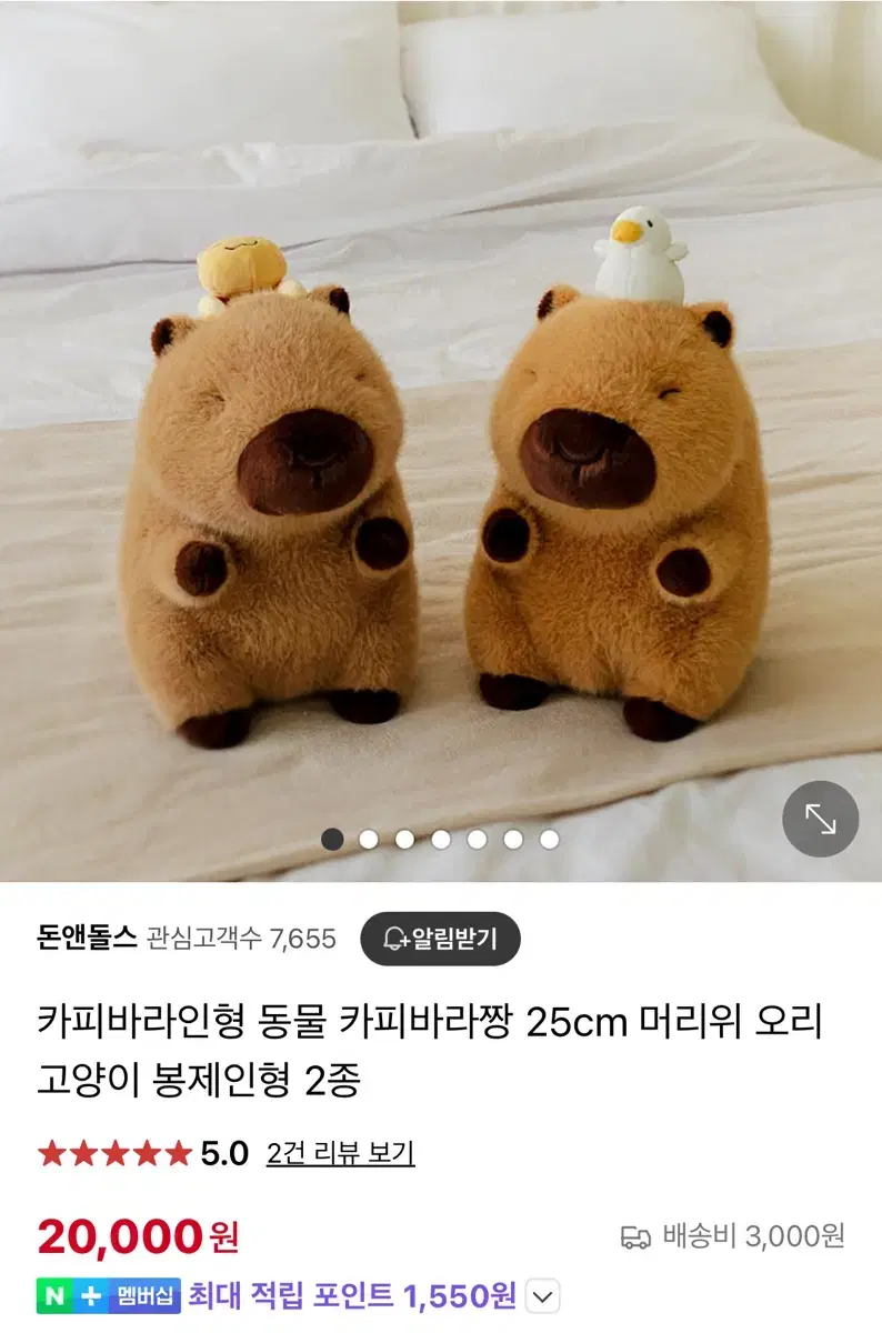 카피바라인형 동물 카피바라짱 25cm 머리위 오리 봉제인형 새상품